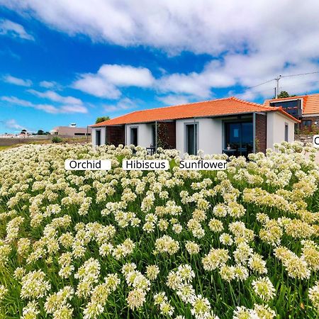 卡列塔Ourmadeira - Quinta Inacia, Countryside Escape公寓 外观 照片